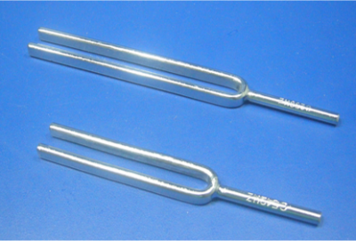 Tuning Fork (1500 Hz)